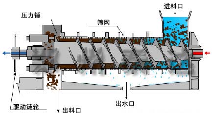 啤酒糟脫水機